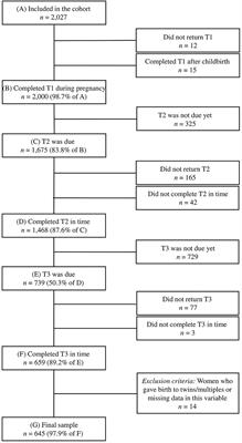 Birth Experience Mediates the Association Between Fear of Childbirth and Mother-Child-Bonding Up to 14 Months Postpartum: Findings From the Prospective Cohort Study DREAM